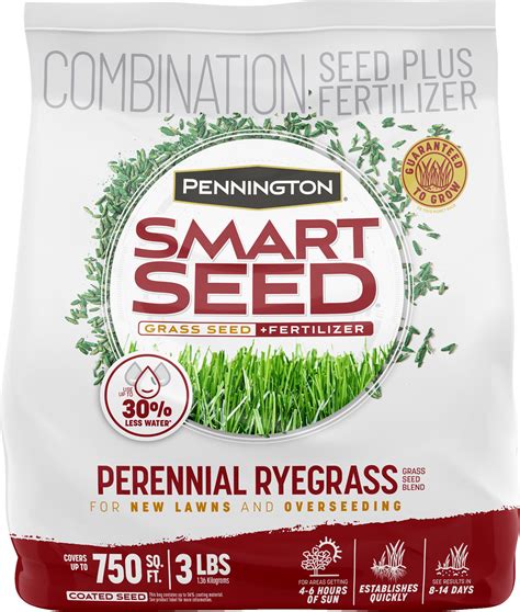 Perrenial rye grass seed. Things To Know About Perrenial rye grass seed. 